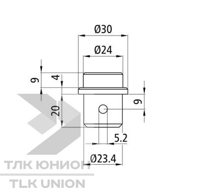 Цапфа Suer S-Line 142138766 цилиндрическая 24 мм вид 2